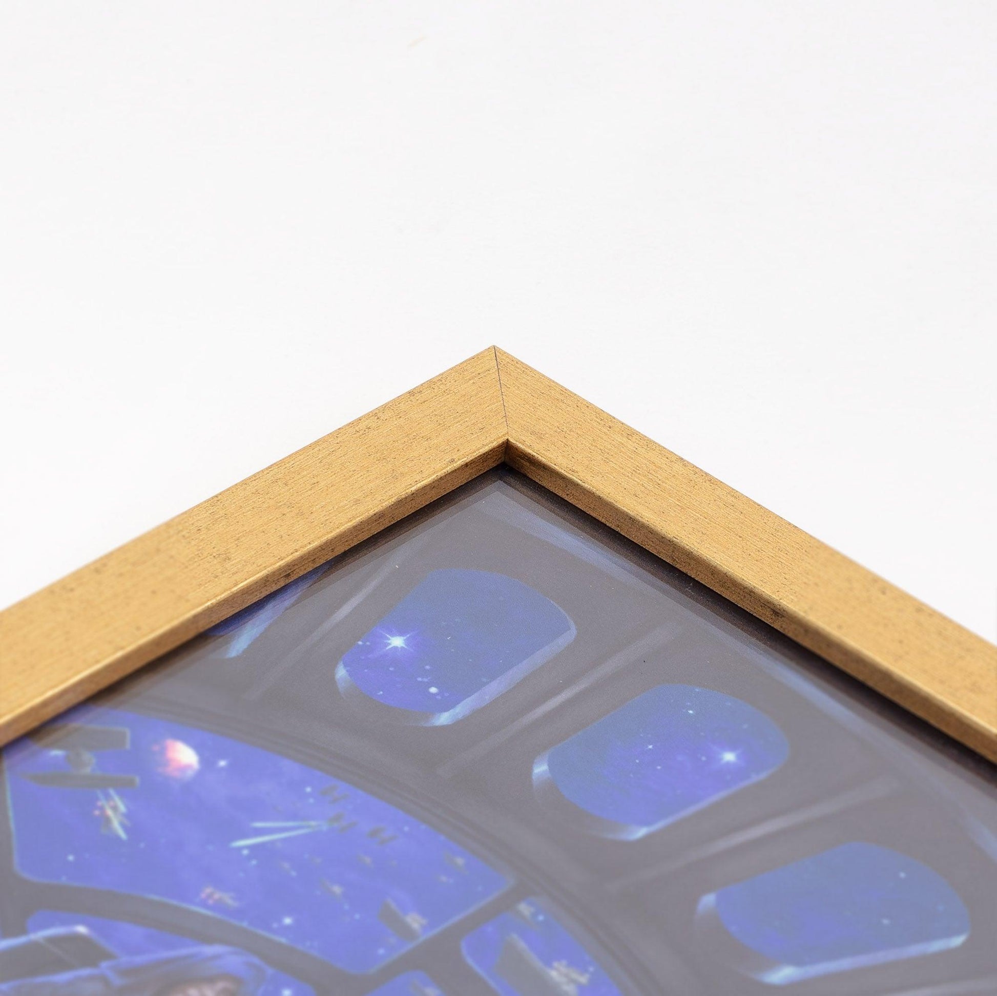 Autumn Vista—Western Bluebird Art Print - Wild Wings