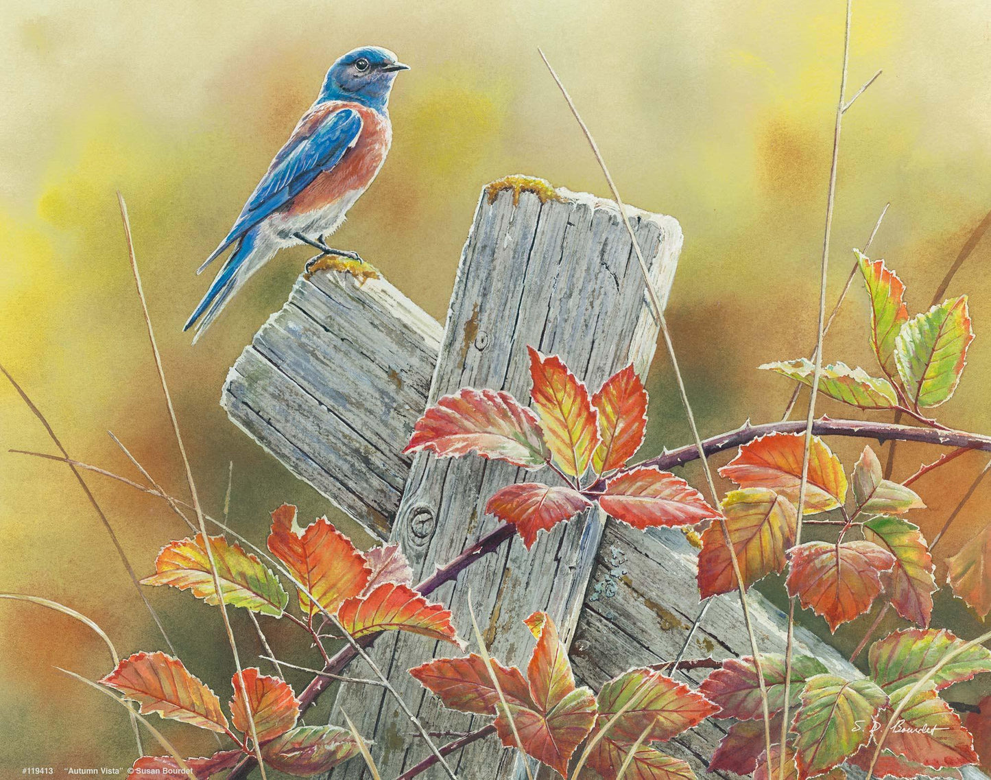 Autumn Vista—Western Bluebird Art Print - Wild Wings