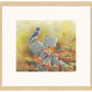 Autumn Vista—Western Bluebird Limited Edition Paper Print - Wild Wings