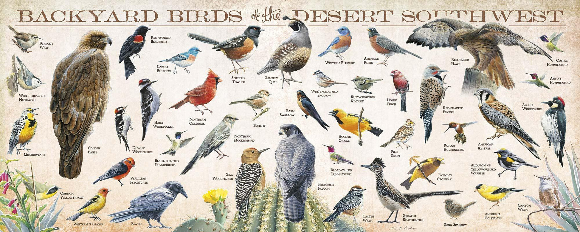 Backyard Birds of the Desert Southwest 12" x 30" Wood Sign - Wild Wings