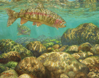 Baetis Feast—Rainbow Trout Art Print - Wild Wings