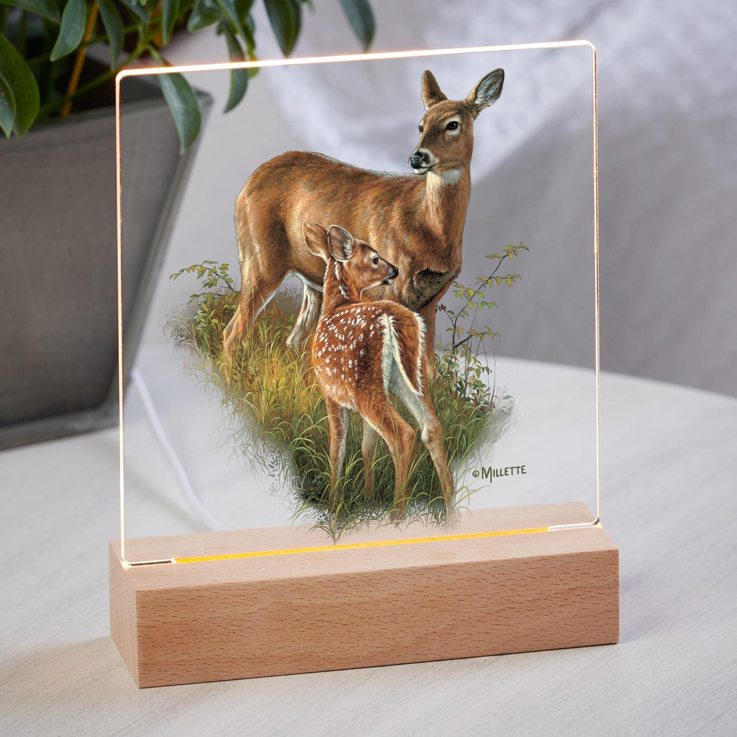 Birch Creek—Whitetail Deer Acrylic Night Light - Wild Wings