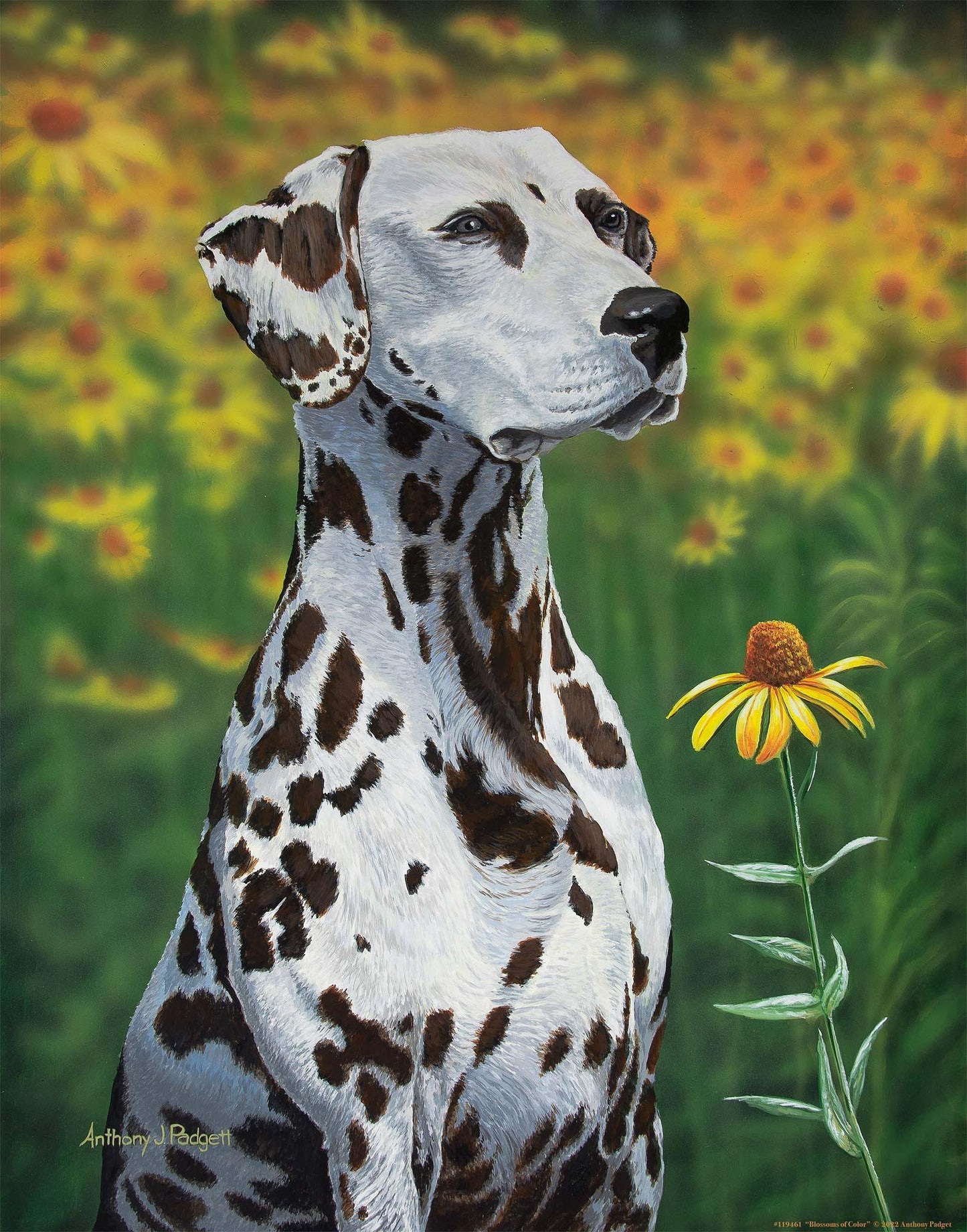 Blossoms of Color—Dalmatian Art Print - Wild Wings