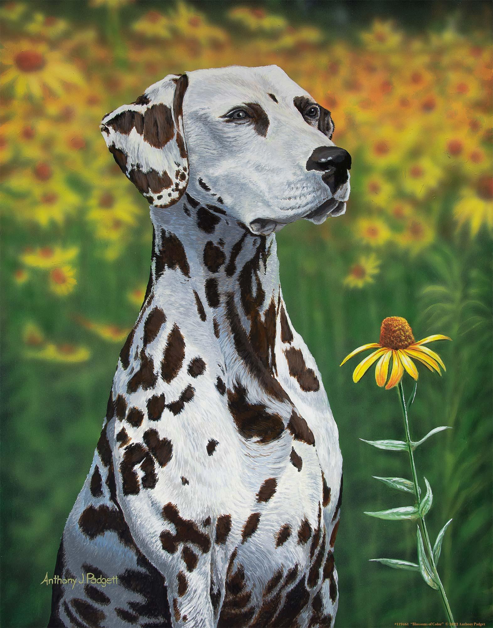 Blossoms of Color—Dalmatian Art Print - Wild Wings