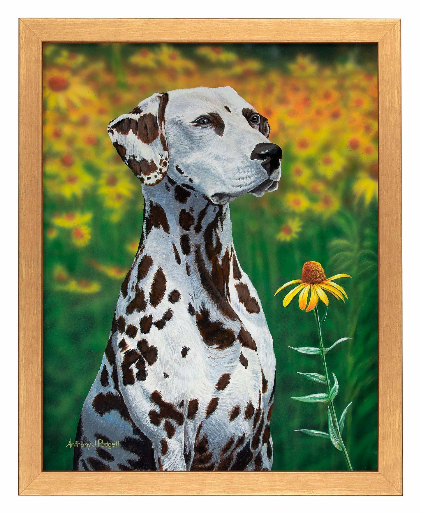 Blossoms of Color—Dalmatian Art Print - Wild Wings