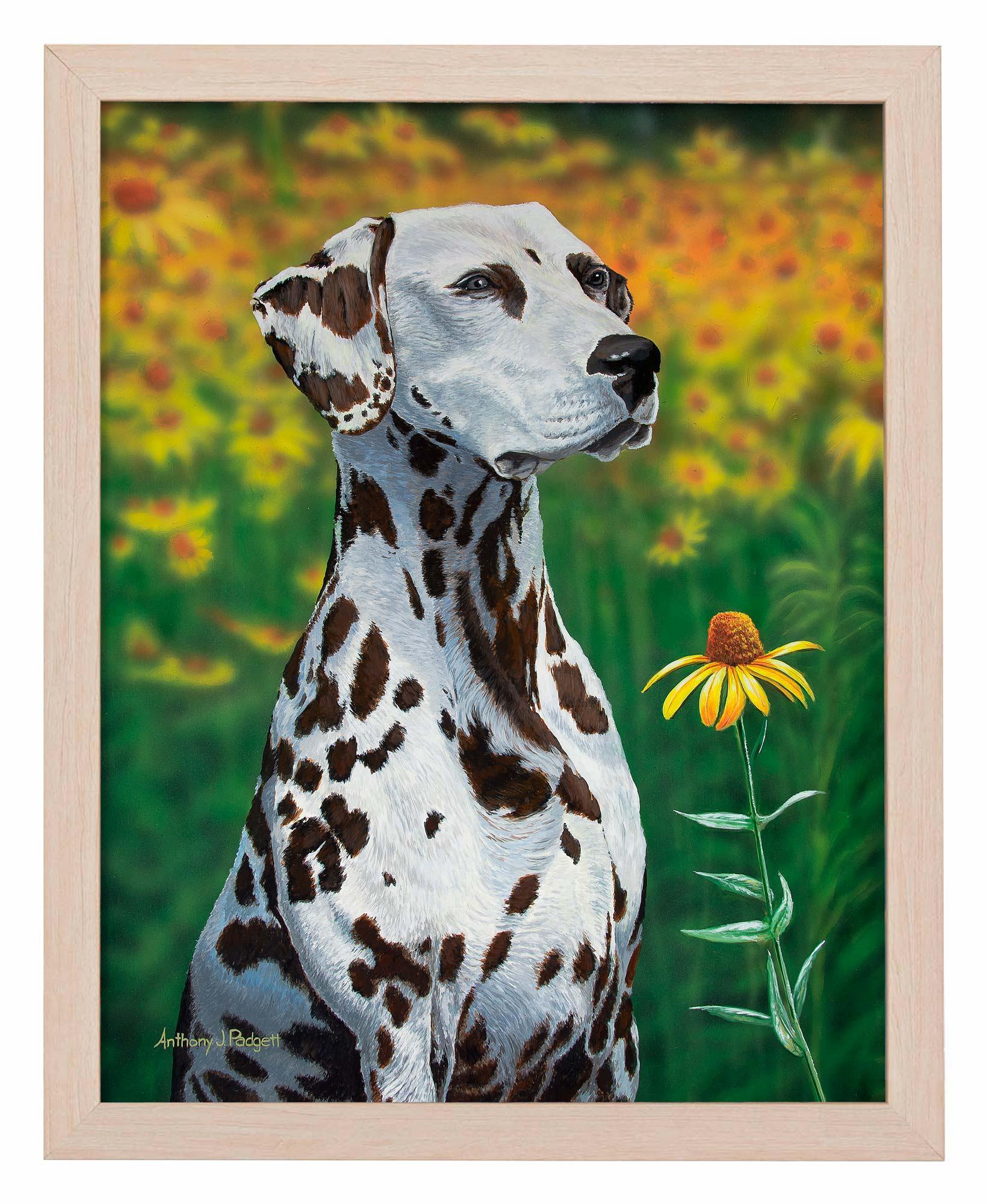 Blossoms of Color—Dalmatian Art Print - Wild Wings