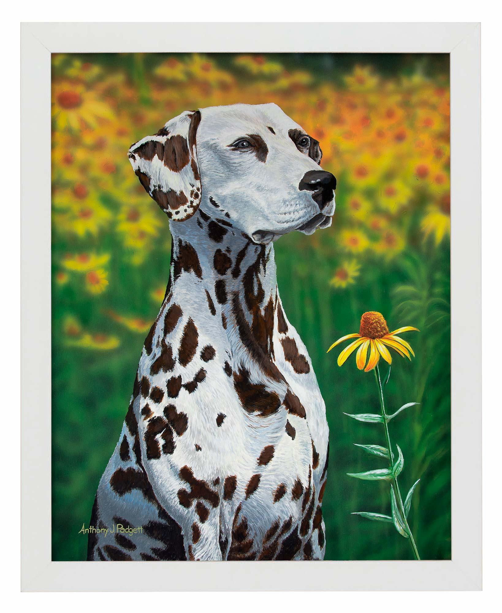 Blossoms of Color—Dalmatian Art Print - Wild Wings