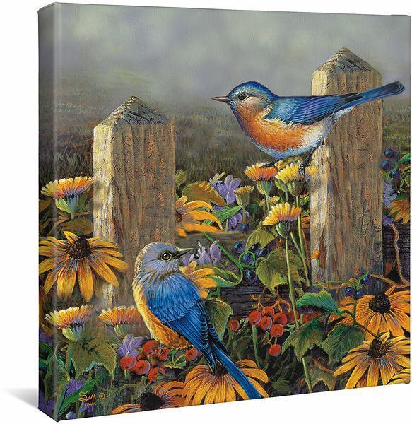 Bluebirds Gallery Wrapped Canvas - Wild Wings