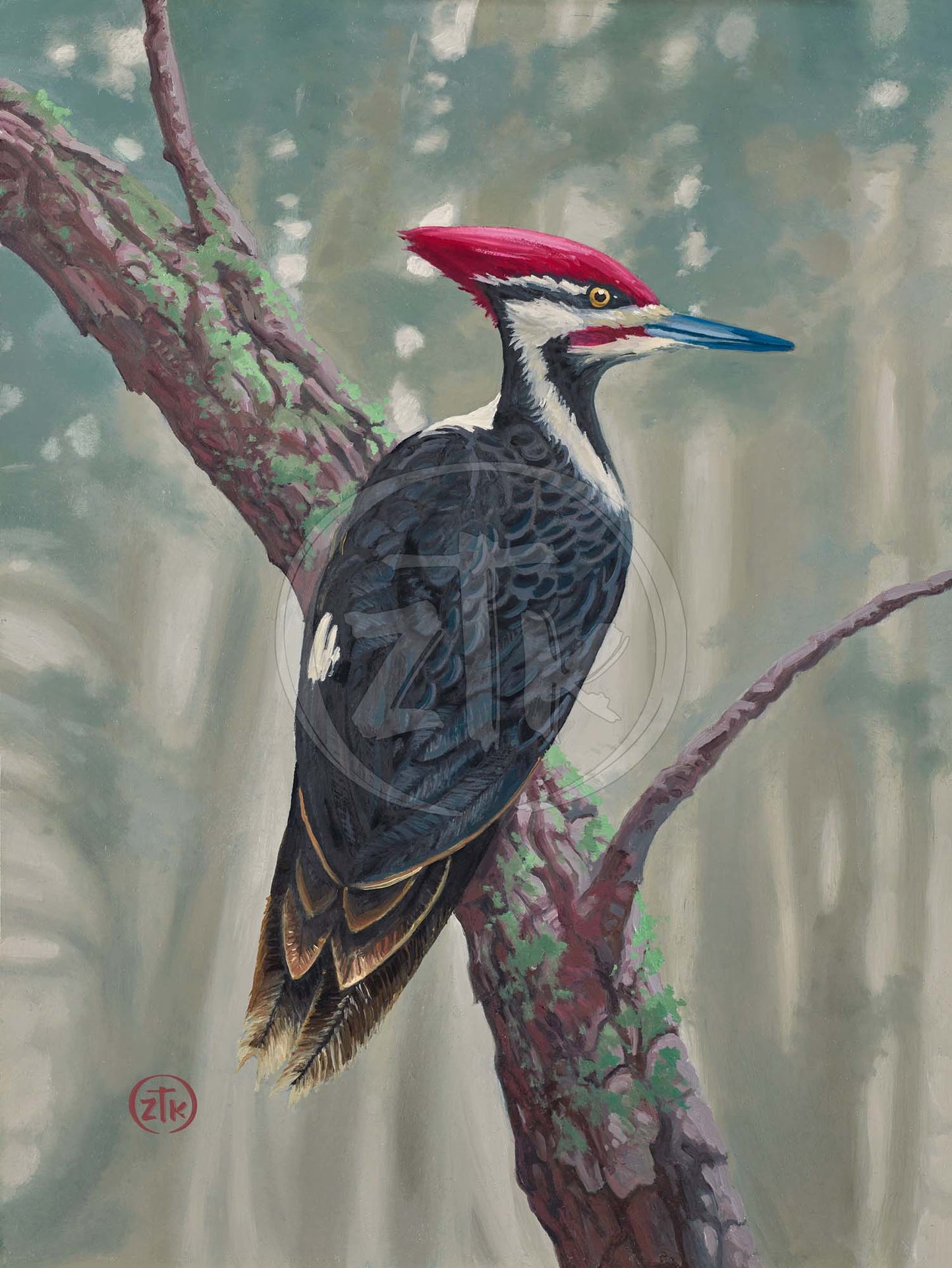 Knock Wood - Limited Edition Canvas