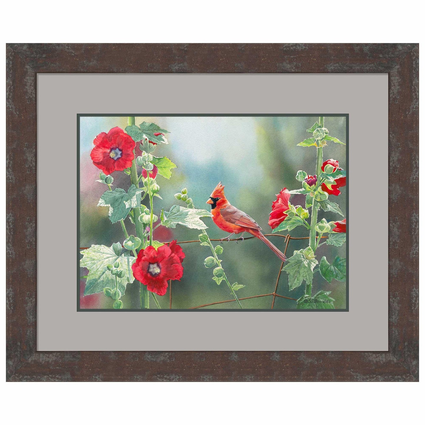Cardinal and Hollyhocks Paper Print - Wild Wings