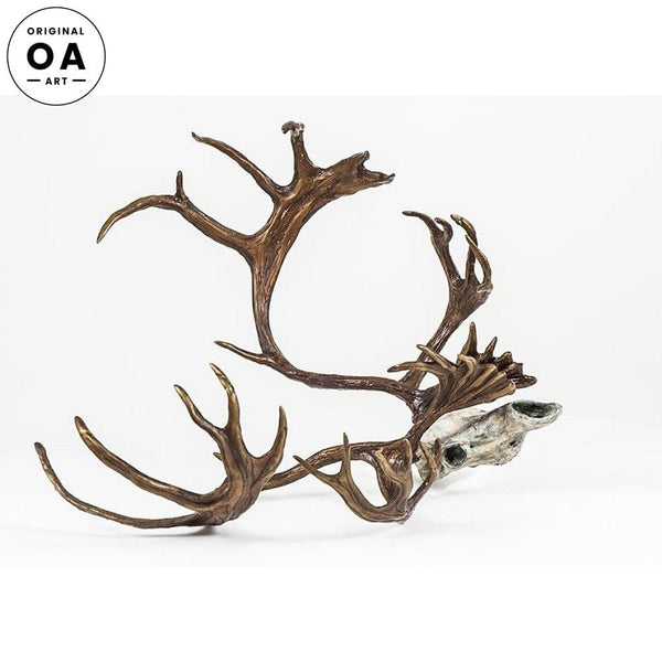 Caribou Skull Original Bronze Sculpture - Wild Wings