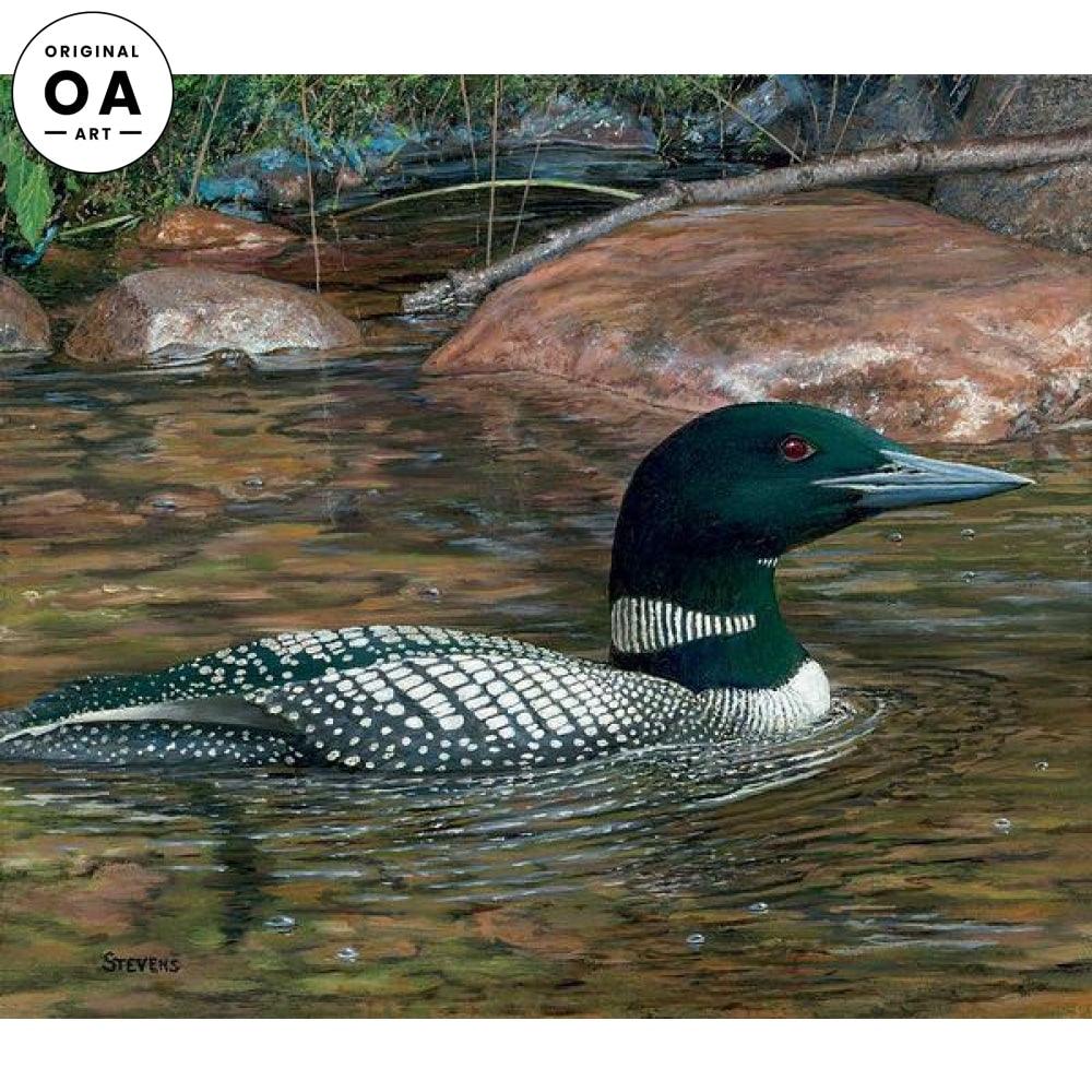 Clearwater Legacy—Loon Original Oil Painting - Wild Wings