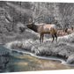 Crossing Bear Canyon—Elk Gallery Wrapped Canvas - Wild Wings