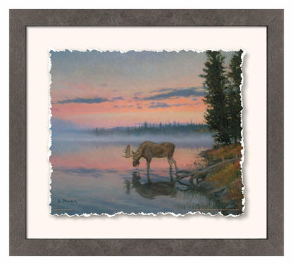 Dawn—Moose Deckled Edge Paper Print - Wild Wings