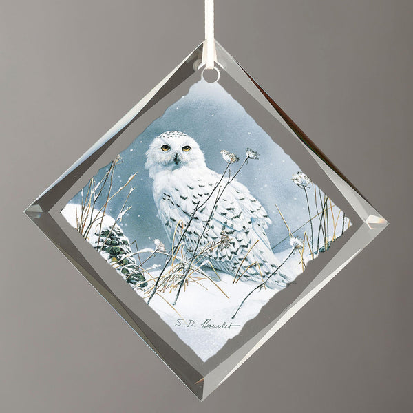 On the North Wind - Snowy Owl Diamond-Shape Glass Ornament - Wild Wings