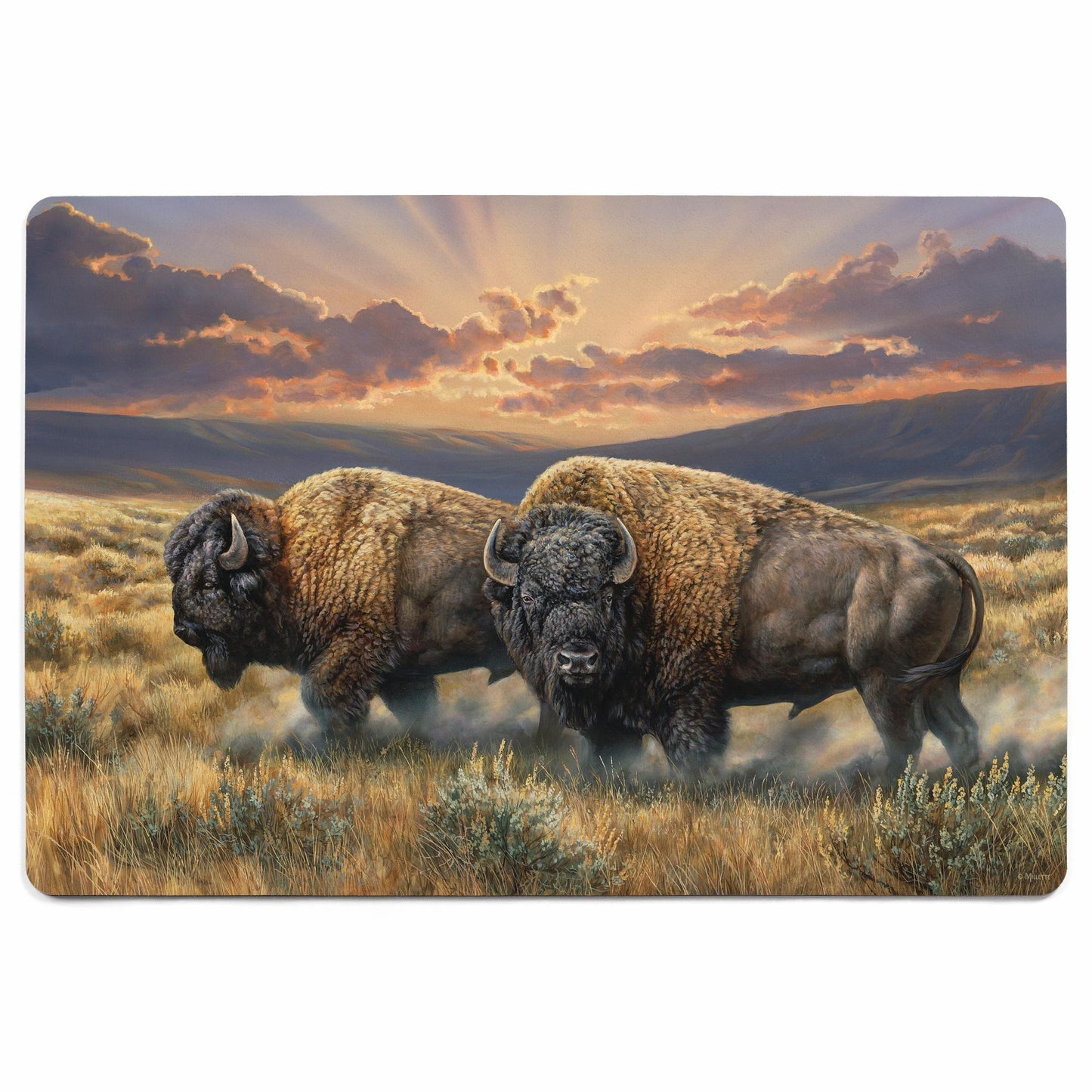 Dusty Plains - Bison Floor Mat - Wild Wings
