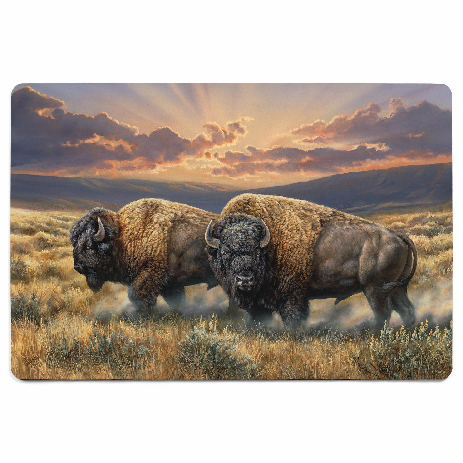 Dusty Plains - Bison Floor Mat - Wild Wings