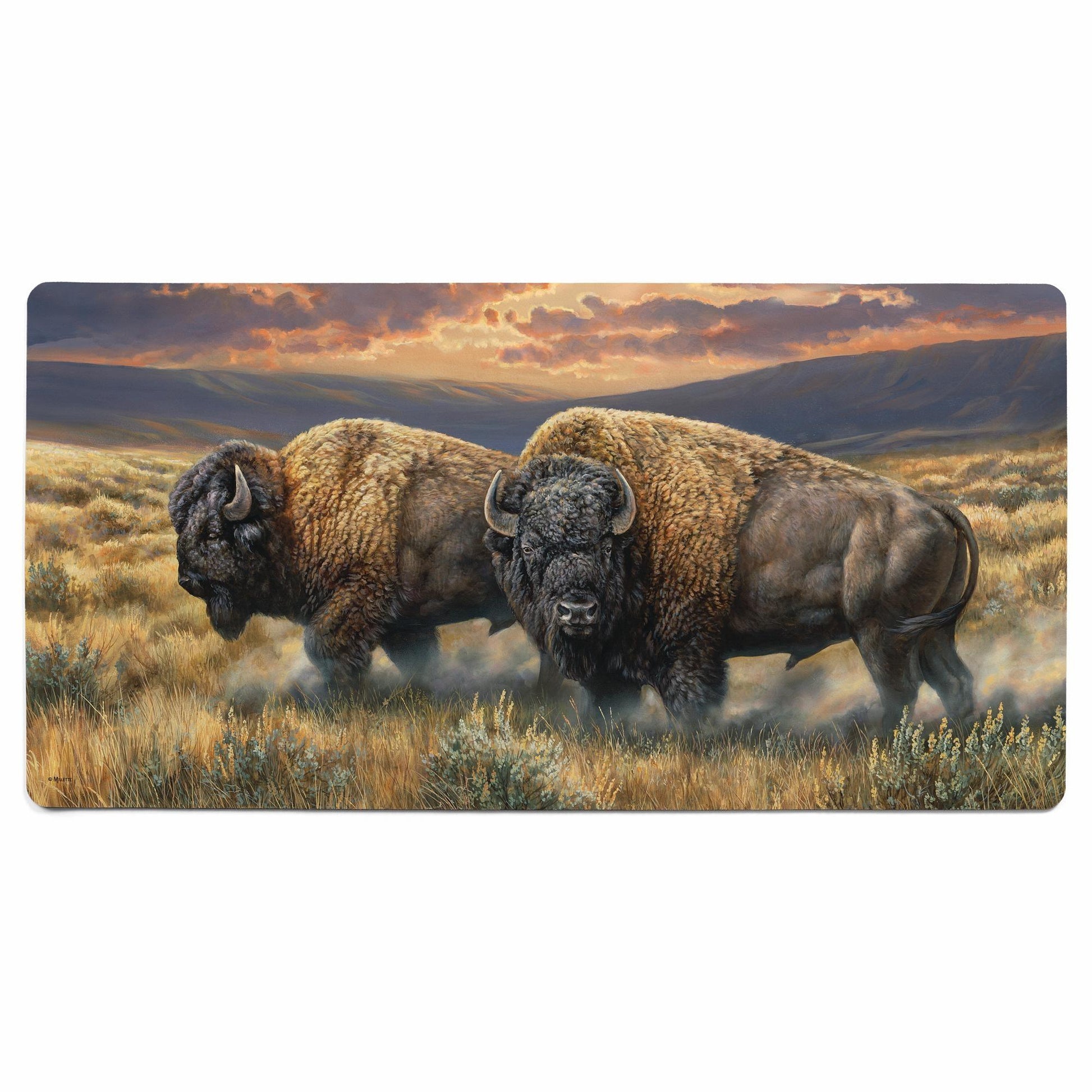 Dusty Plains - Bison Floor Mat - Wild Wings