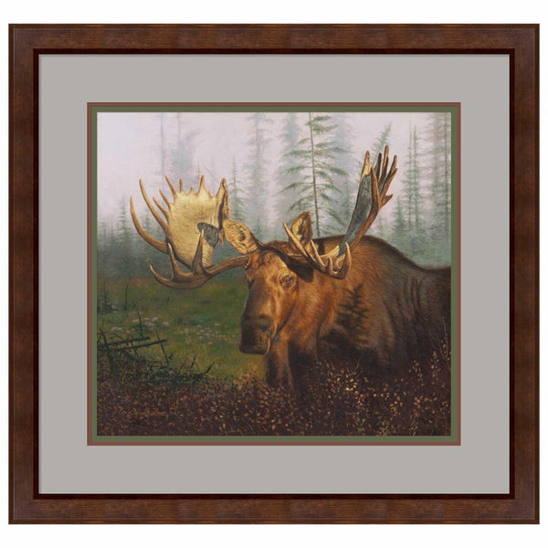 Early Morning Moose Limited Edition Paper Print - Wild Wings