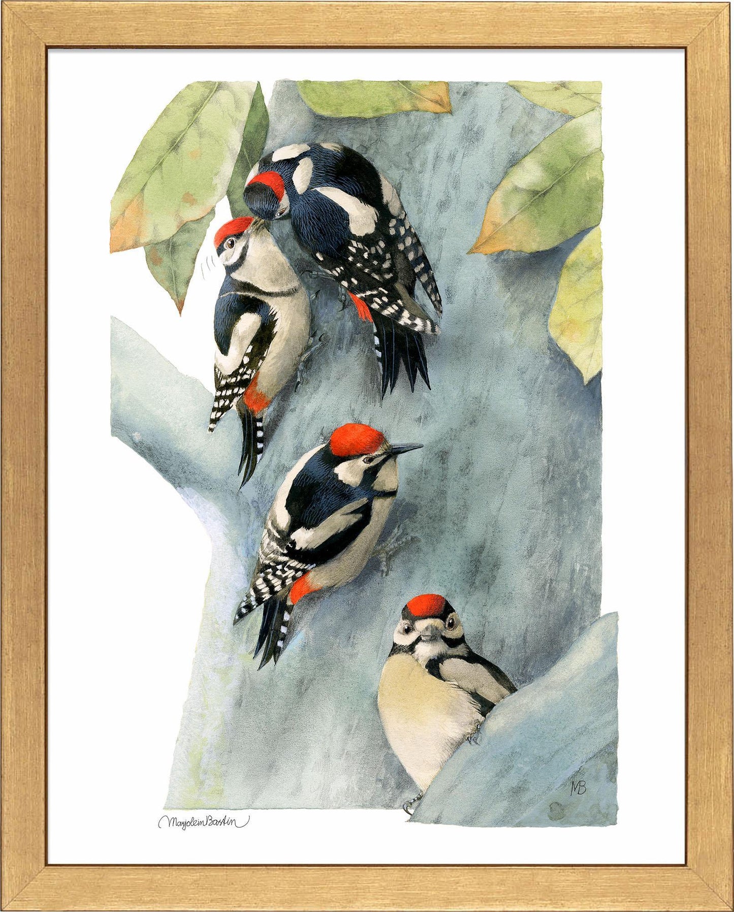Family of Spotted Woodpeckers Art Collection - Wild Wings