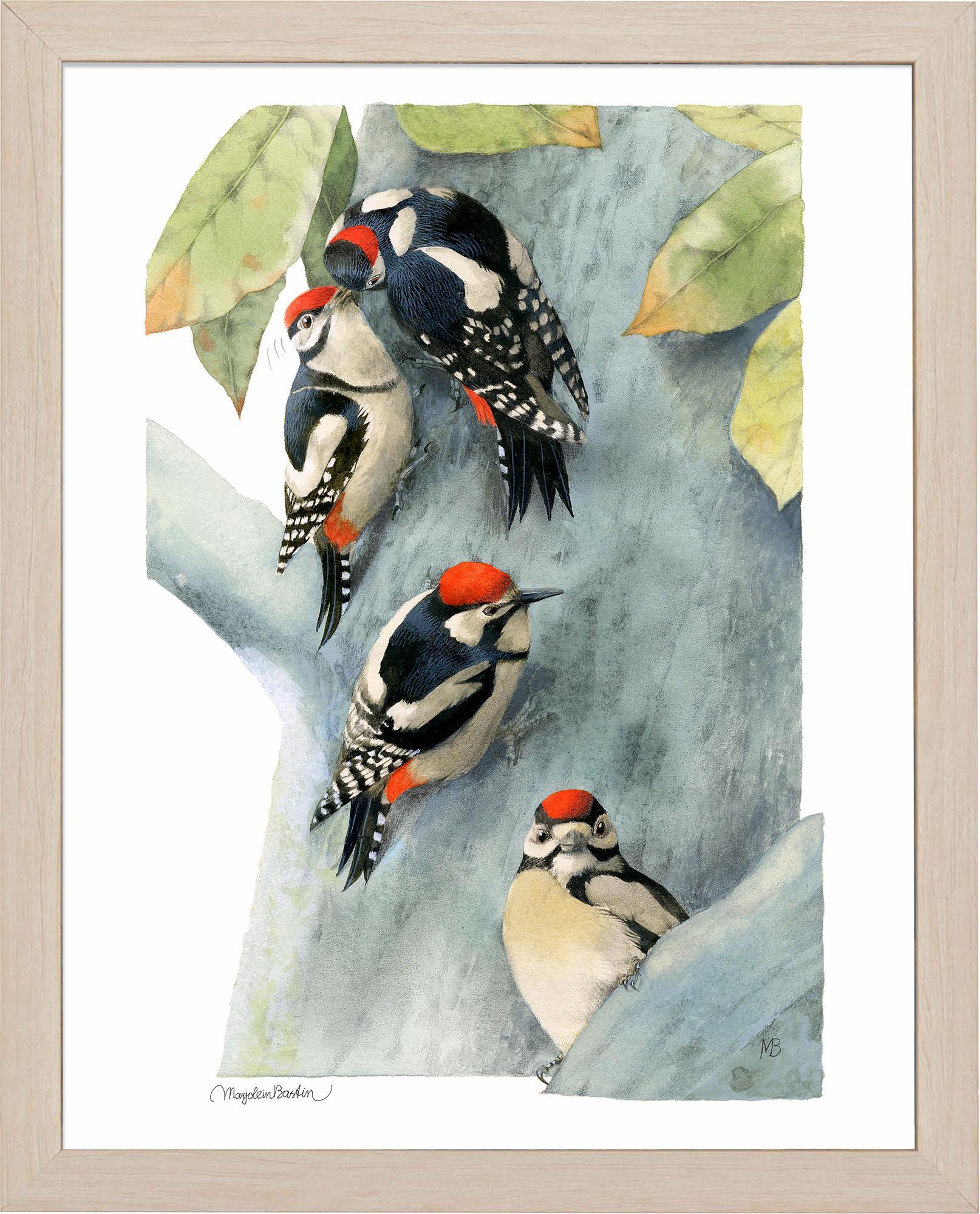 Family of Spotted Woodpeckers Art Collection - Wild Wings