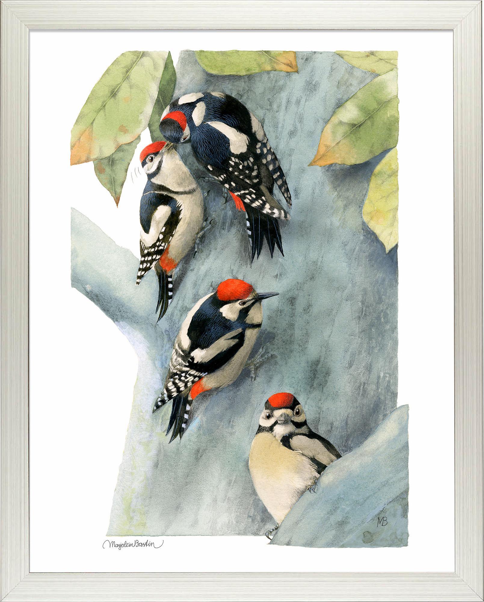 Family of Spotted Woodpeckers Art Collection - Wild Wings