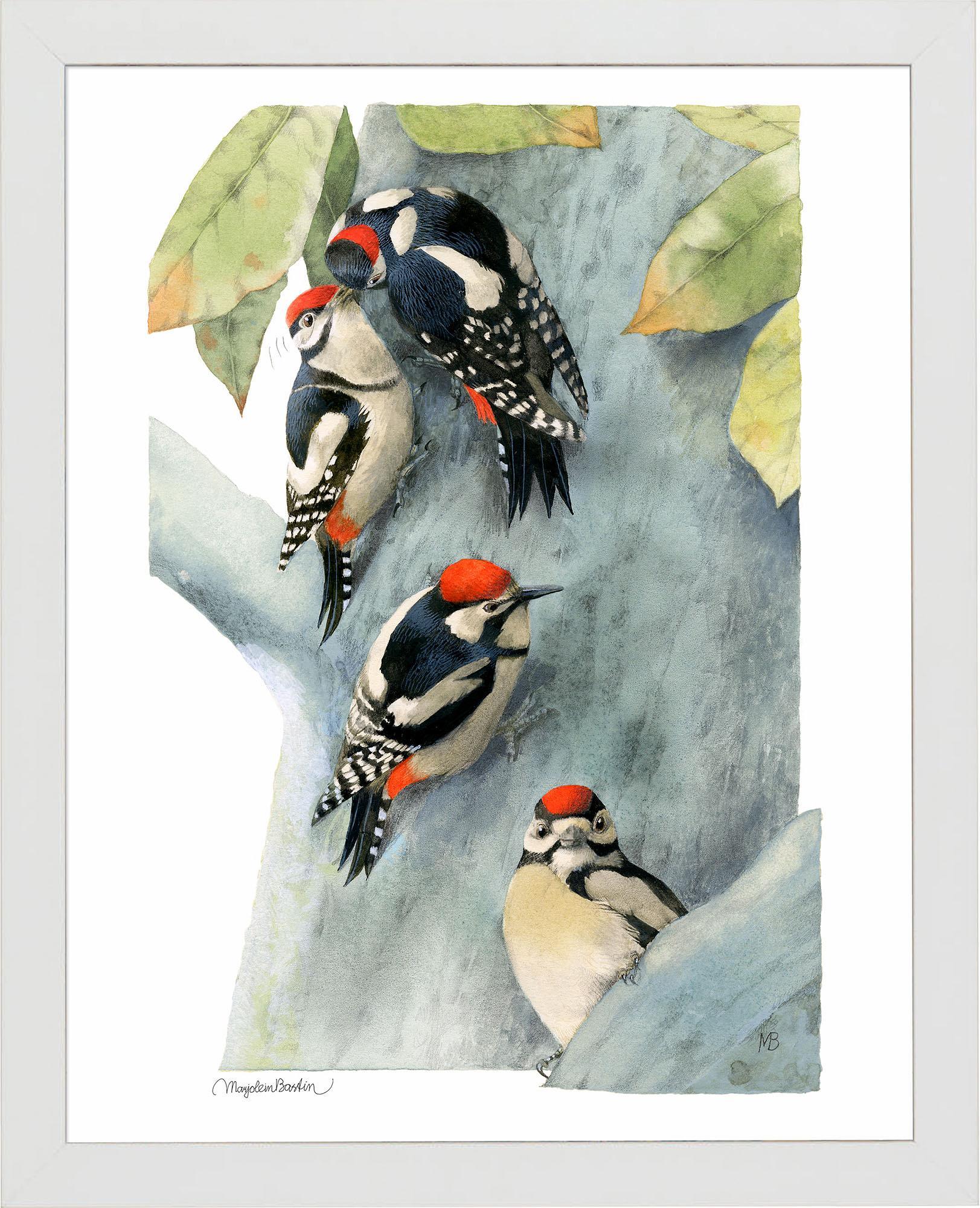 Family of Spotted Woodpeckers Art Collection - Wild Wings