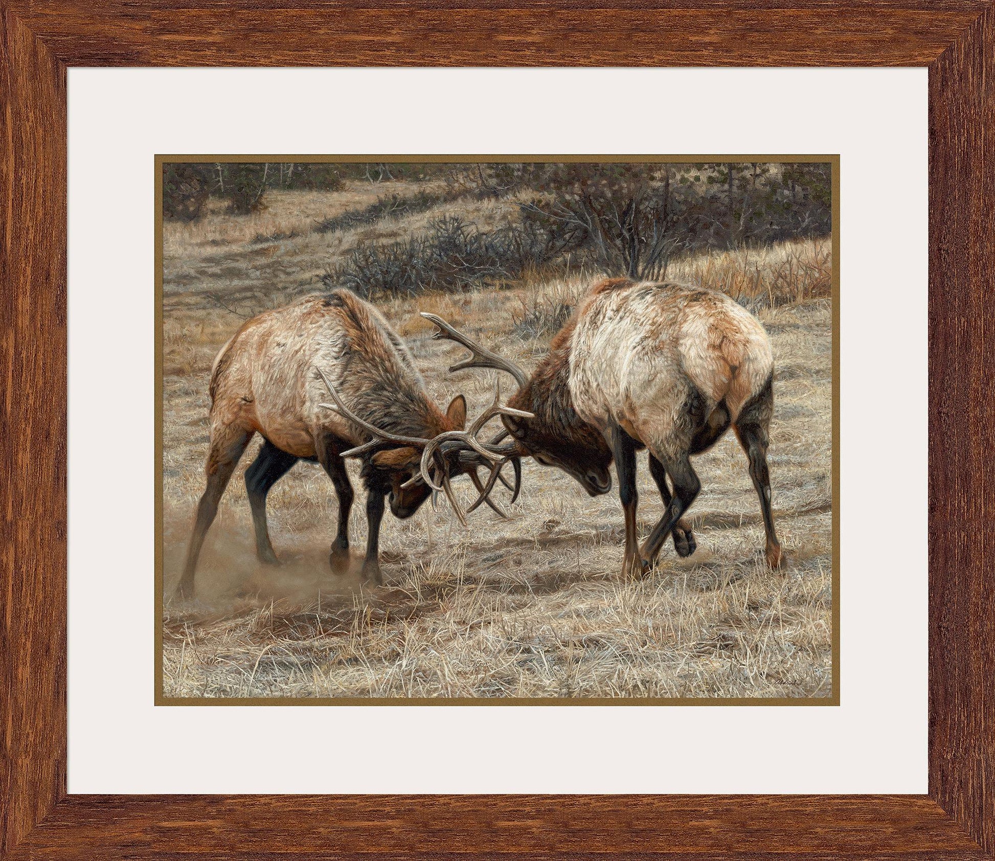Anything for Love—Elk Limited Edition Paper Print - Wild Wings