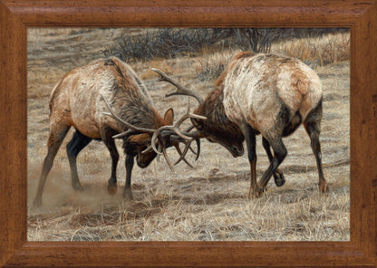 Anything for Love—Elk Limited Edition Paper Print - Wild Wings