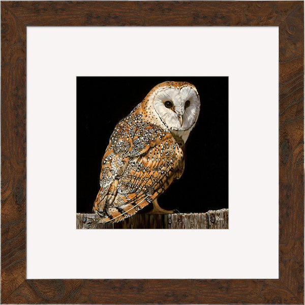 Barn Owl Contempo Square - Wild Wings