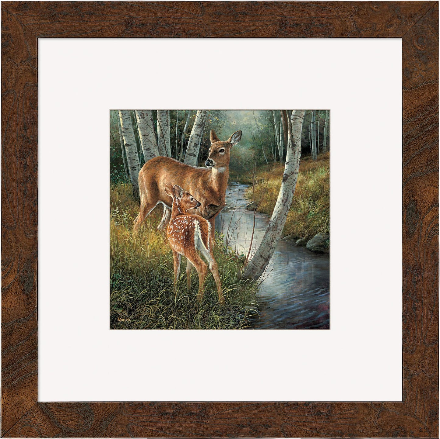 Birch Creek—Whitetail Deer Contempo Square - Wild Wings