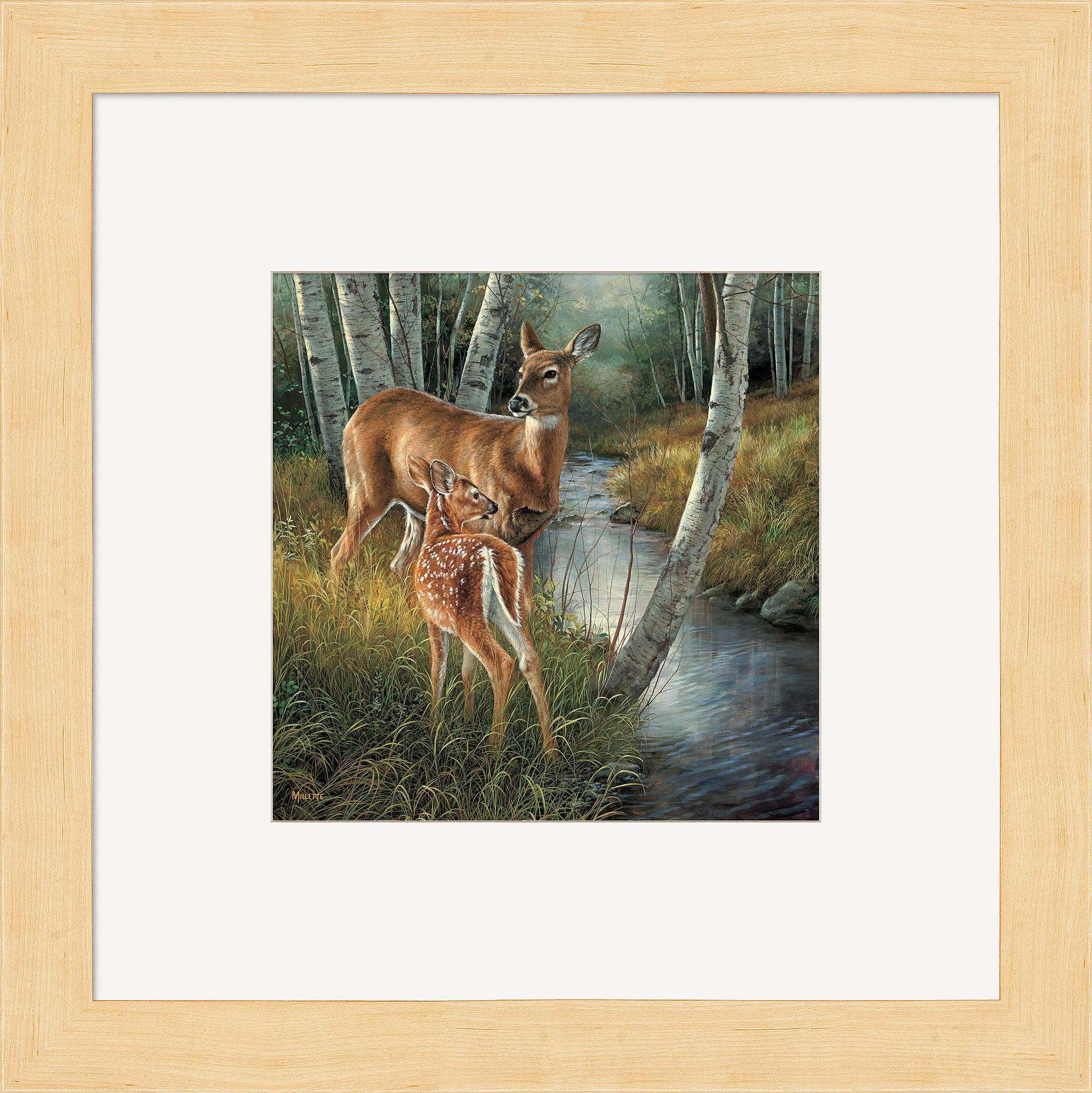 Birch Creek - Whitetail Deer Contempo Square from Wild Wings