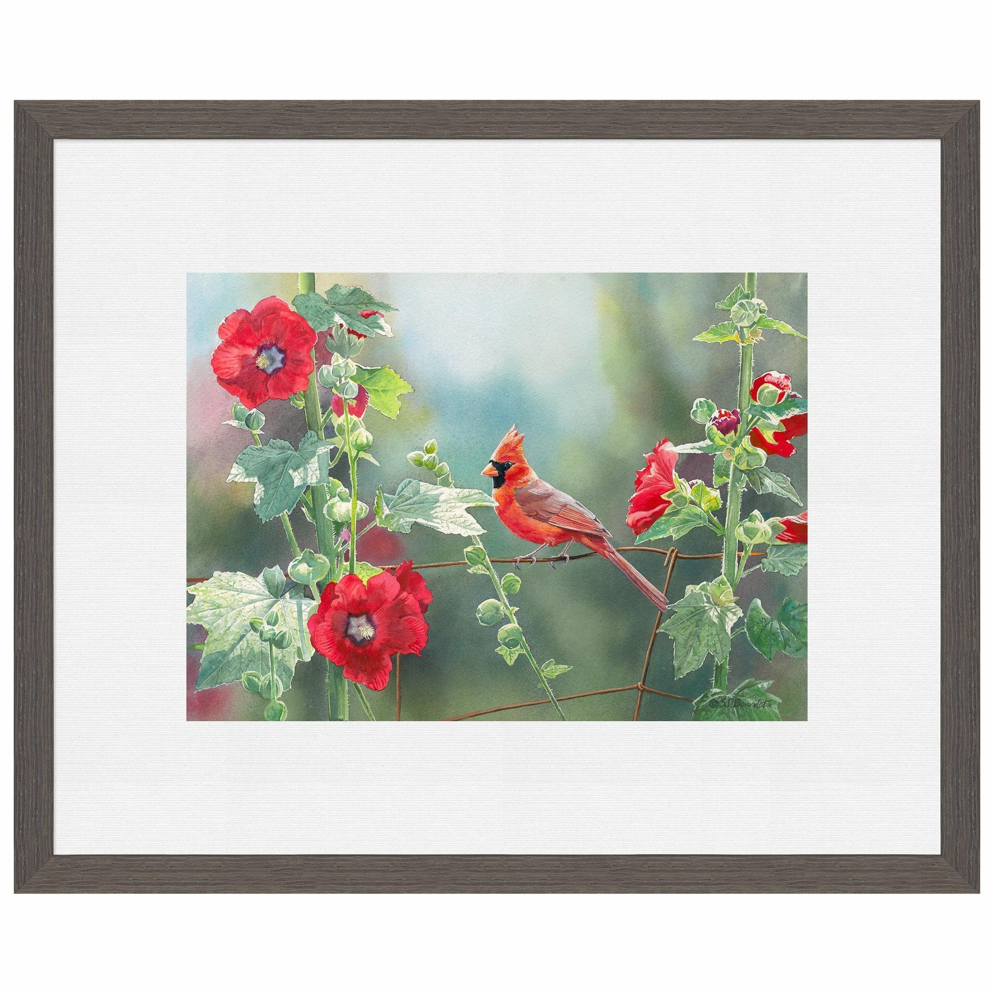 Cardinal and Hollyhocks Paper Print - Wild Wings