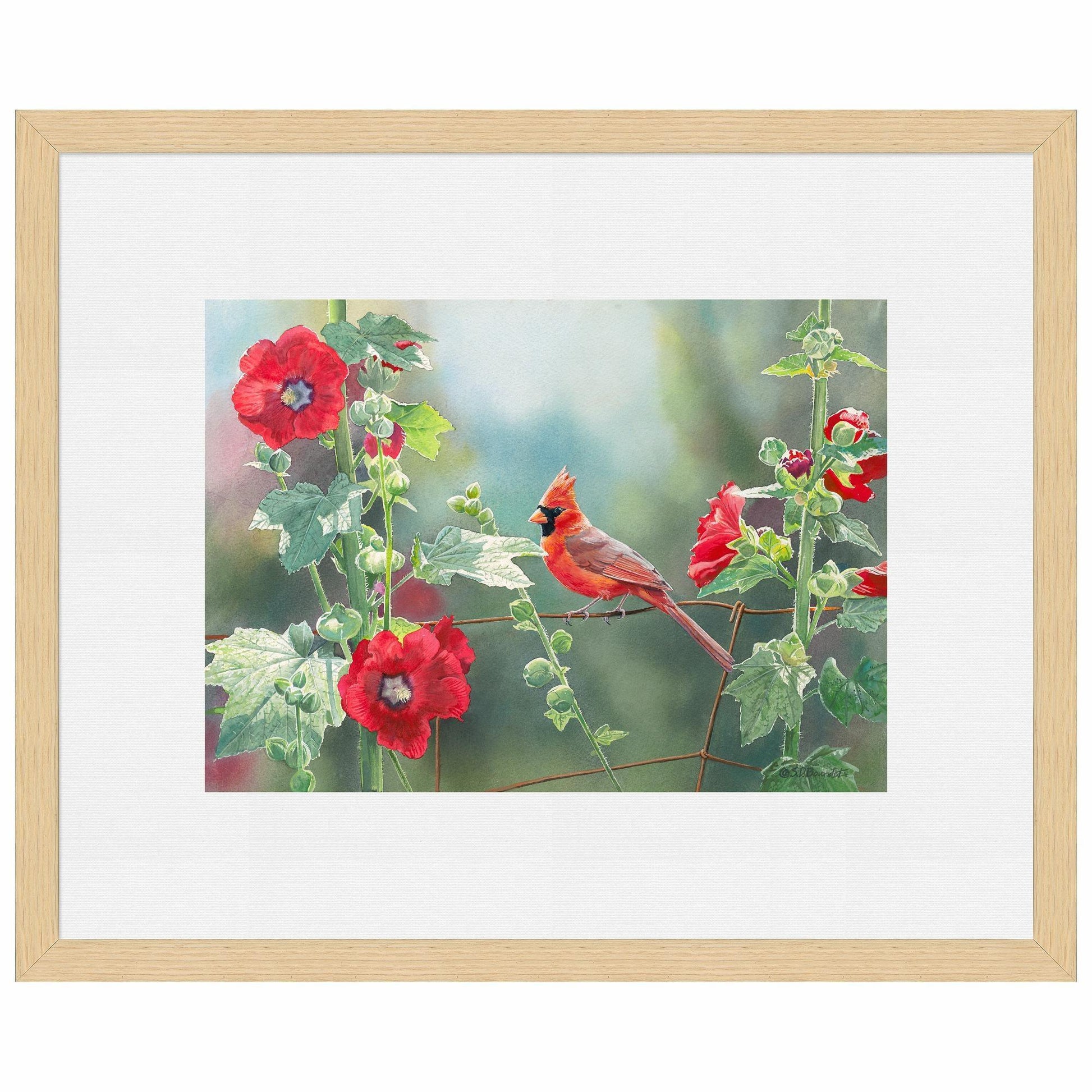 Cardinal and Hollyhocks Paper Print - Wild Wings