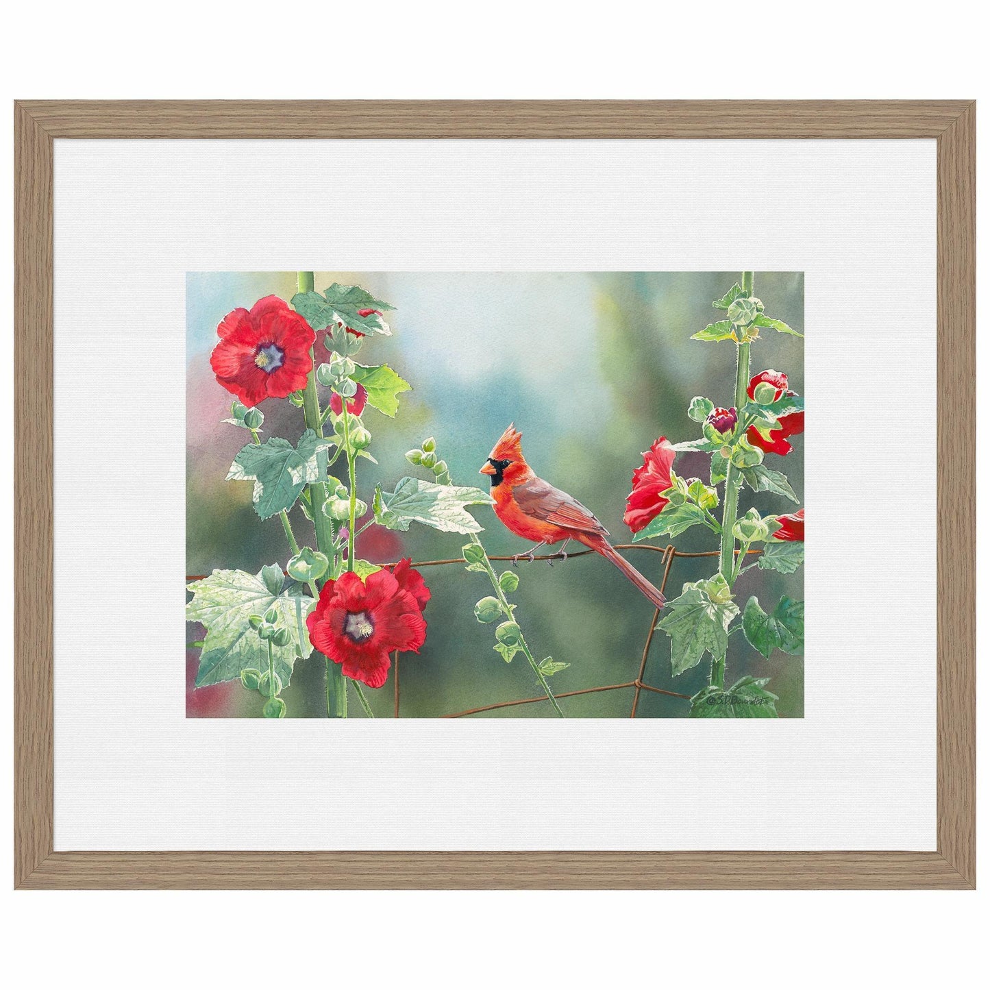 Cardinal and Hollyhocks Paper Print - Wild Wings
