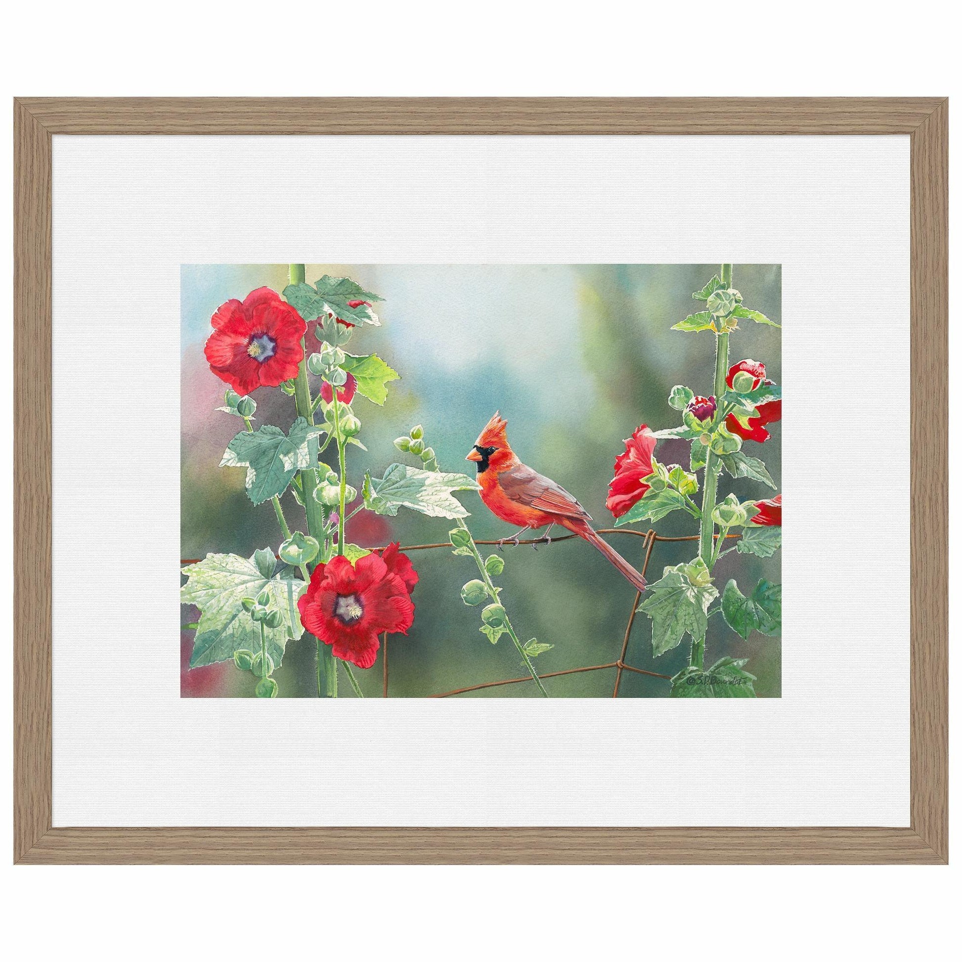 Cardinal and Hollyhocks Paper Print - Wild Wings