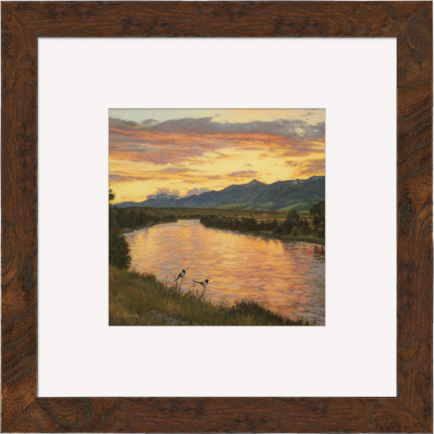 Dawn in the Valley Contempo Square - Wild Wings