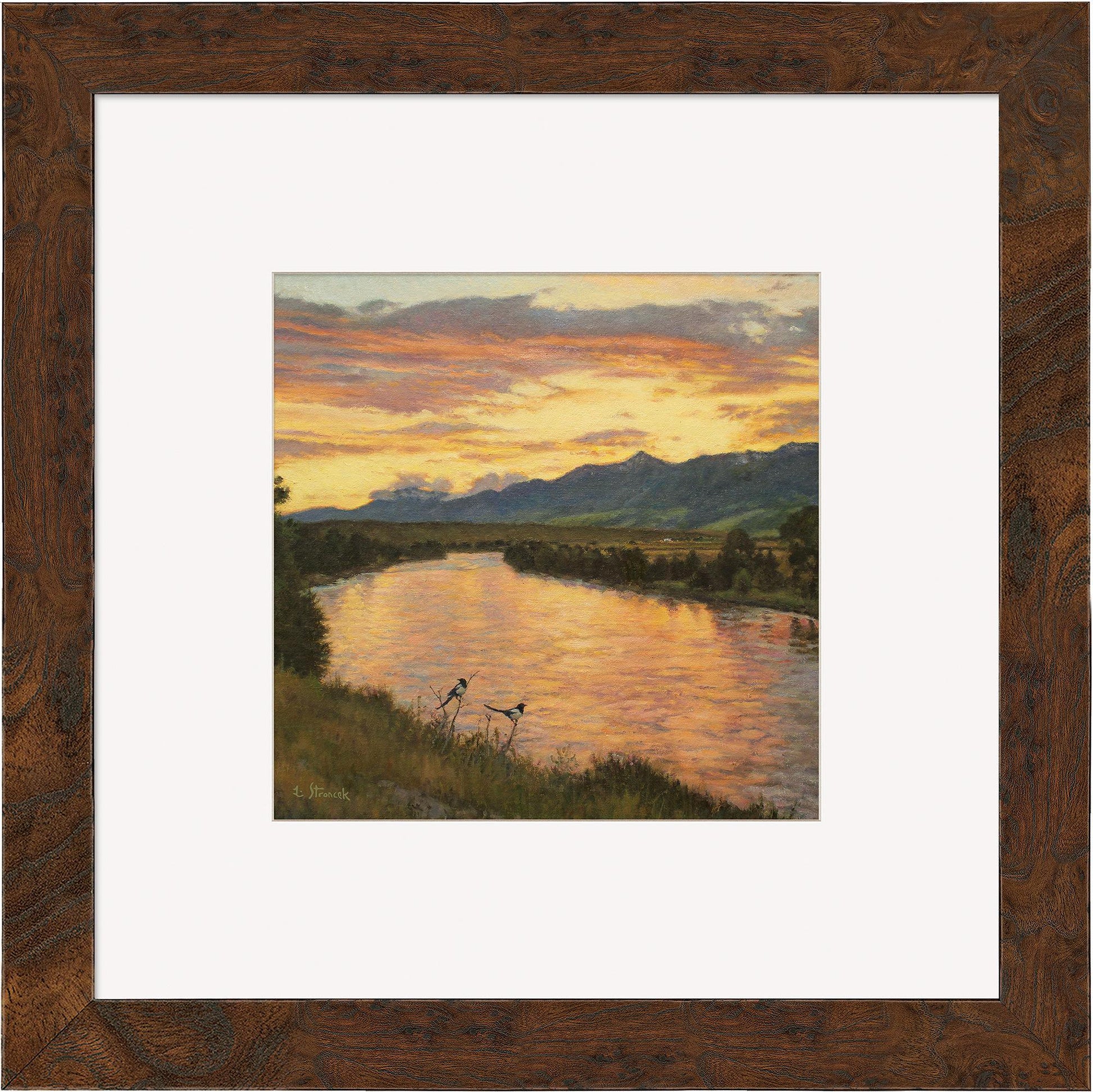 Dawn in the Valley Contempo Square - Wild Wings