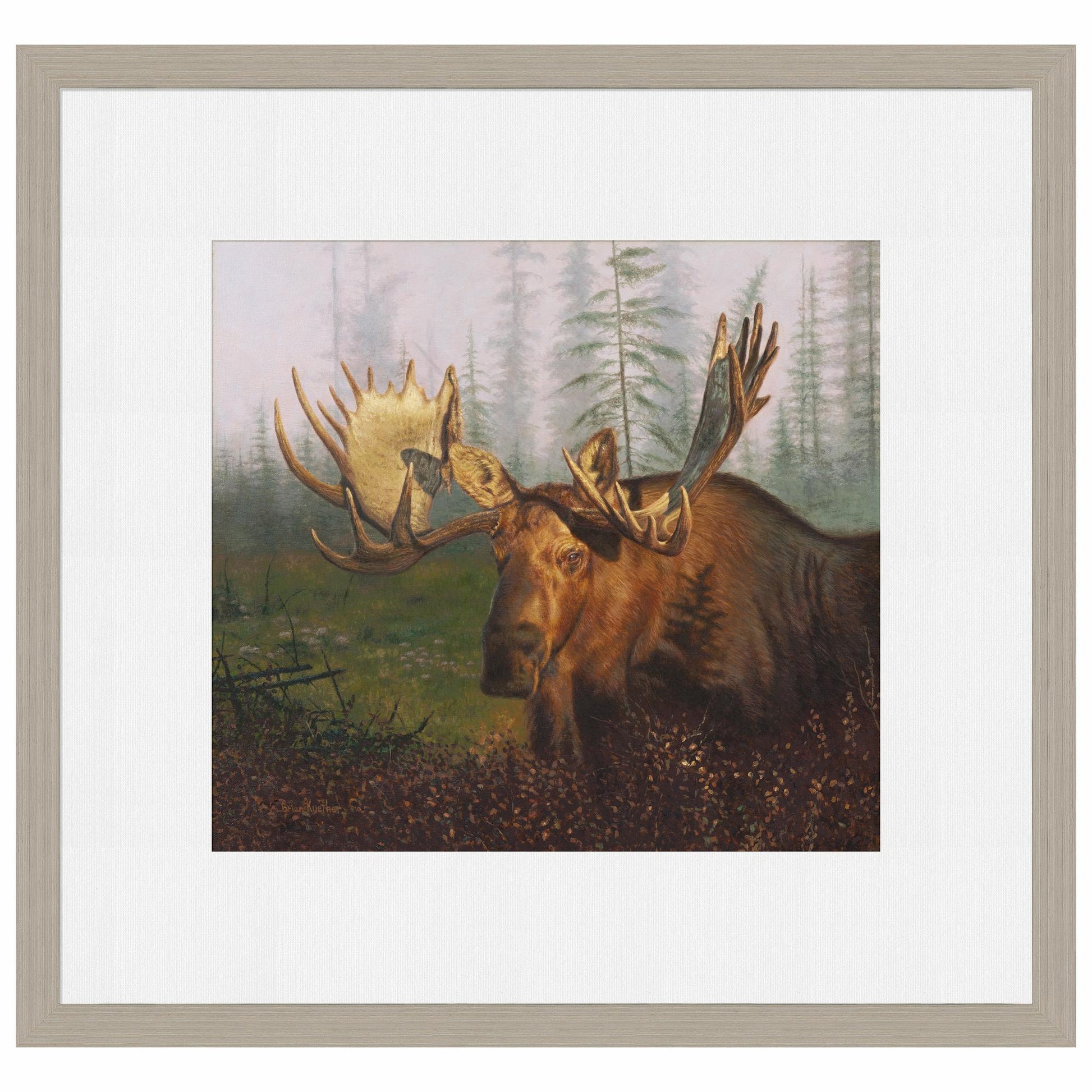 Early Morning Moose Limited Edition Paper Print - Wild Wings