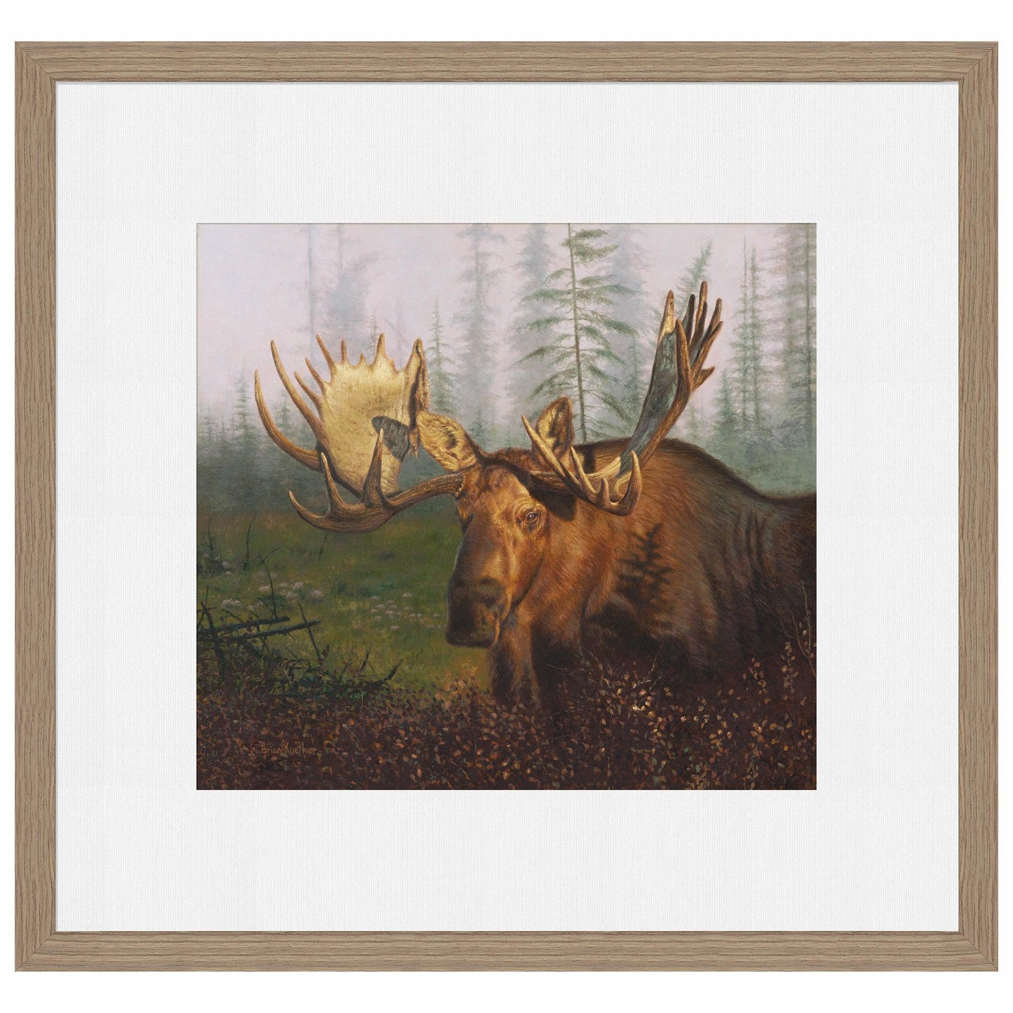 Early Morning Moose Limited Edition Paper Print - Wild Wings