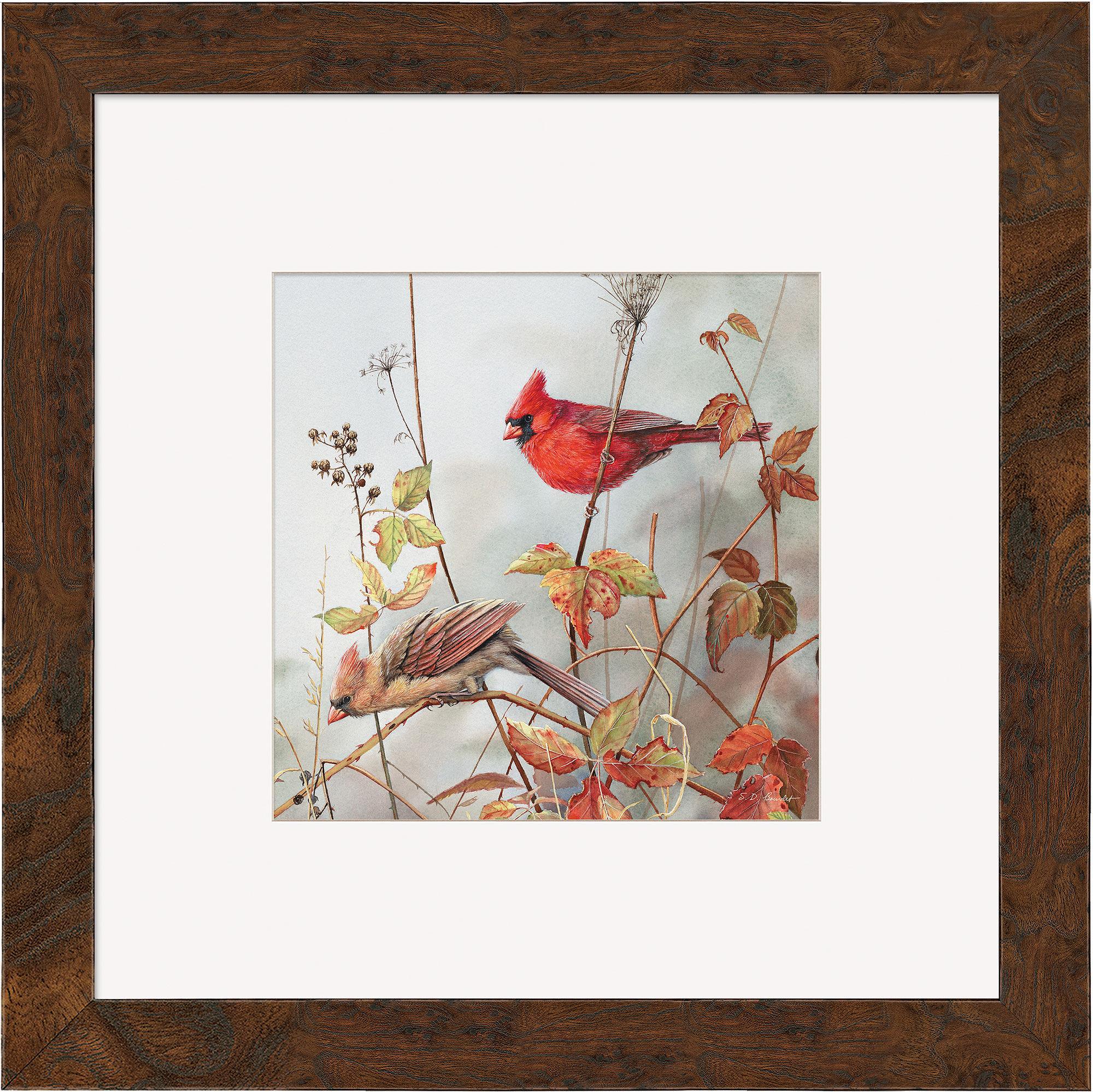 Shop Cardinal Art From Wild Wings