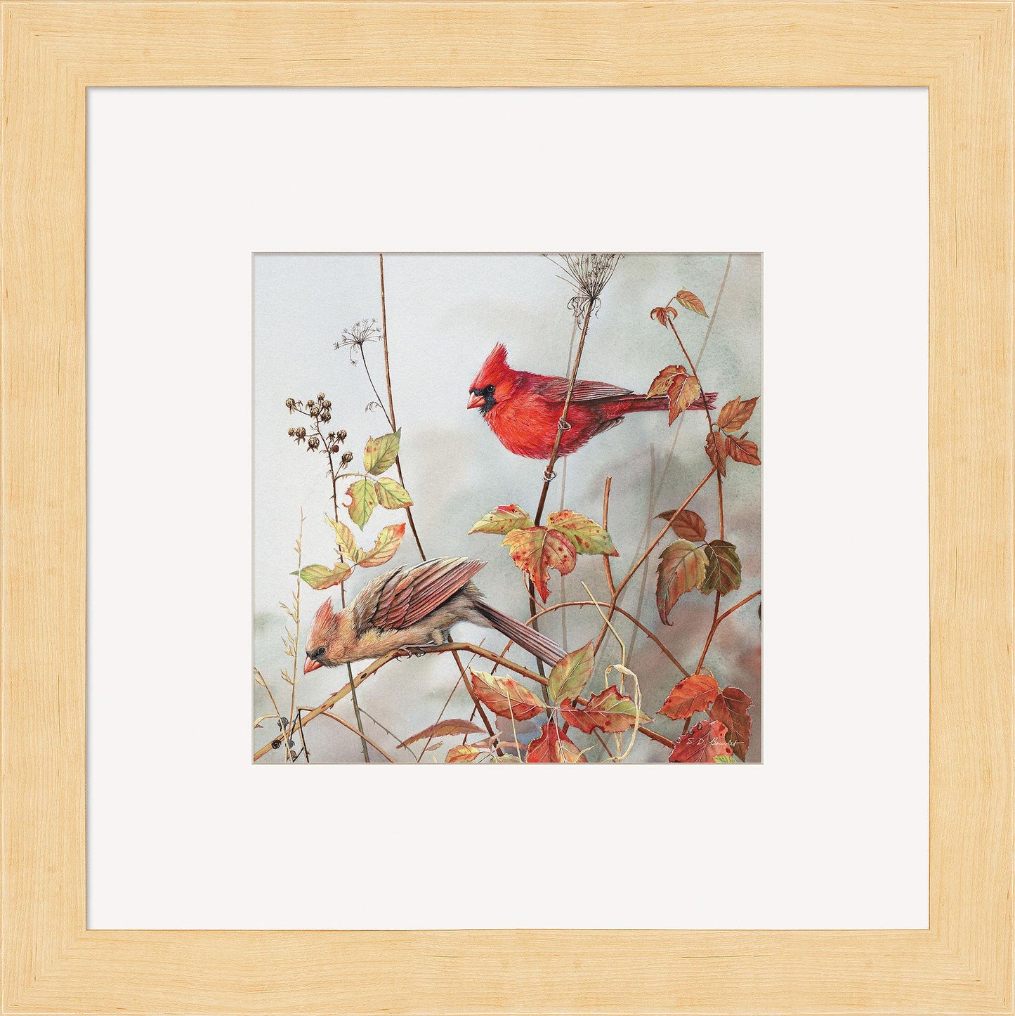 Fall Brilliance—Cardinals Contempo Square - Wild Wings