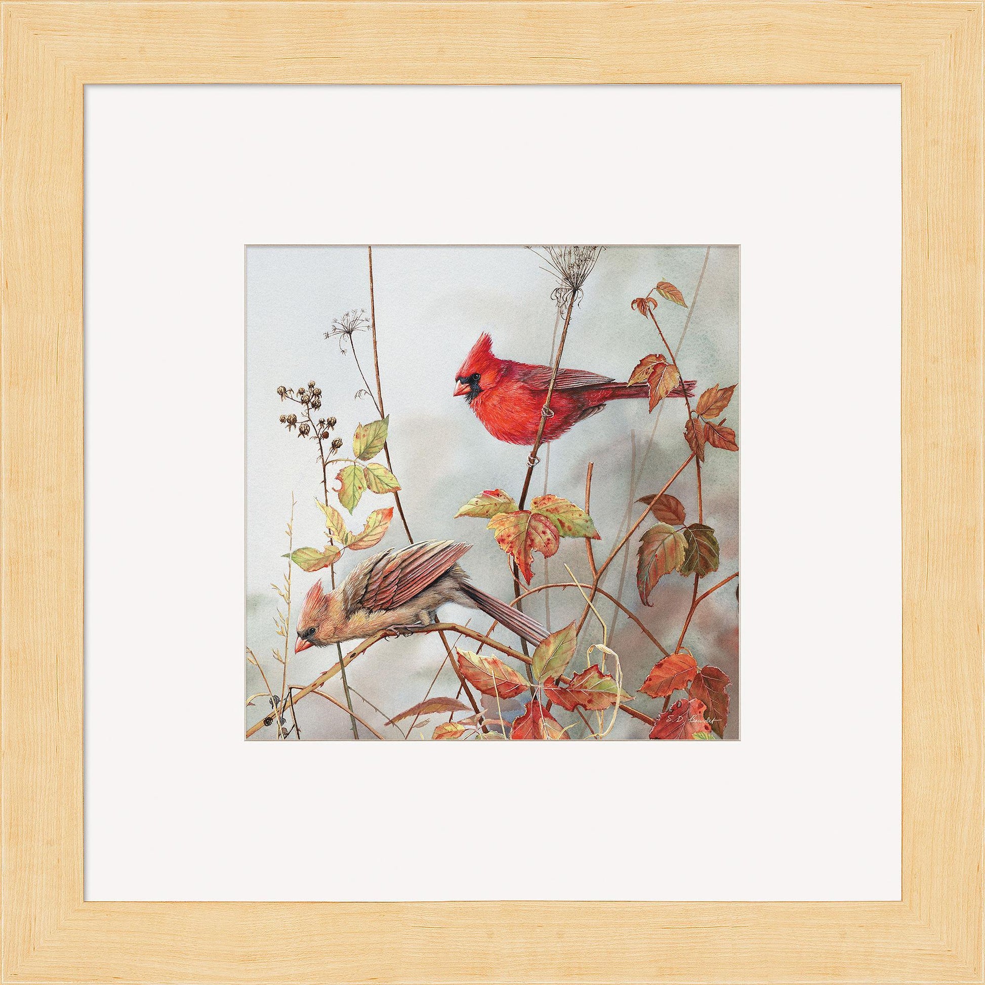 Fall Brilliance—Cardinals Contempo Square - Wild Wings