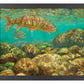 Baetis Feast—Rainbow Trout Art Print - Wild Wings