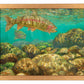 Baetis Feast—Rainbow Trout Art Print - Wild Wings
