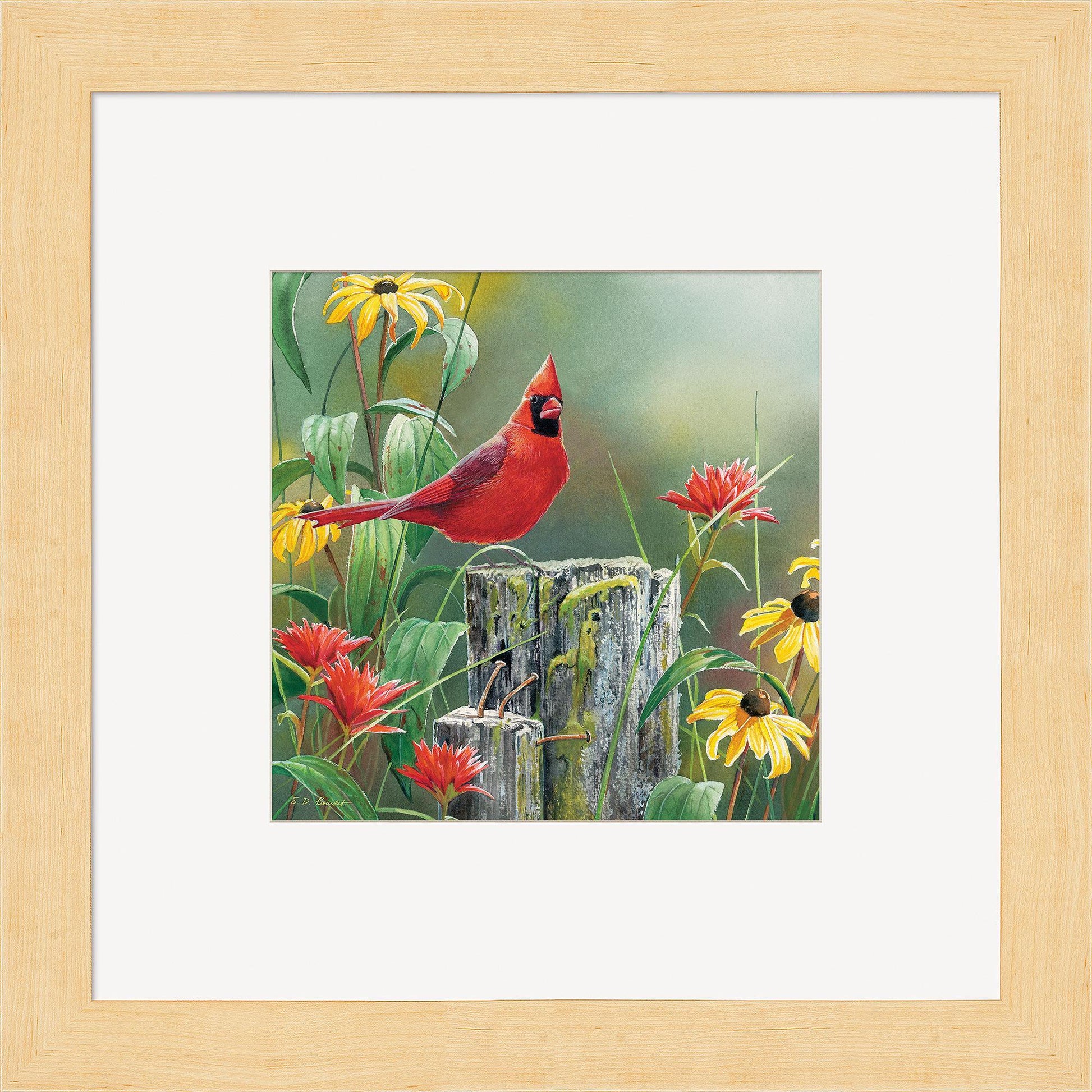 Greeting the New Day—Cardinal Contempo Square - Wild Wings