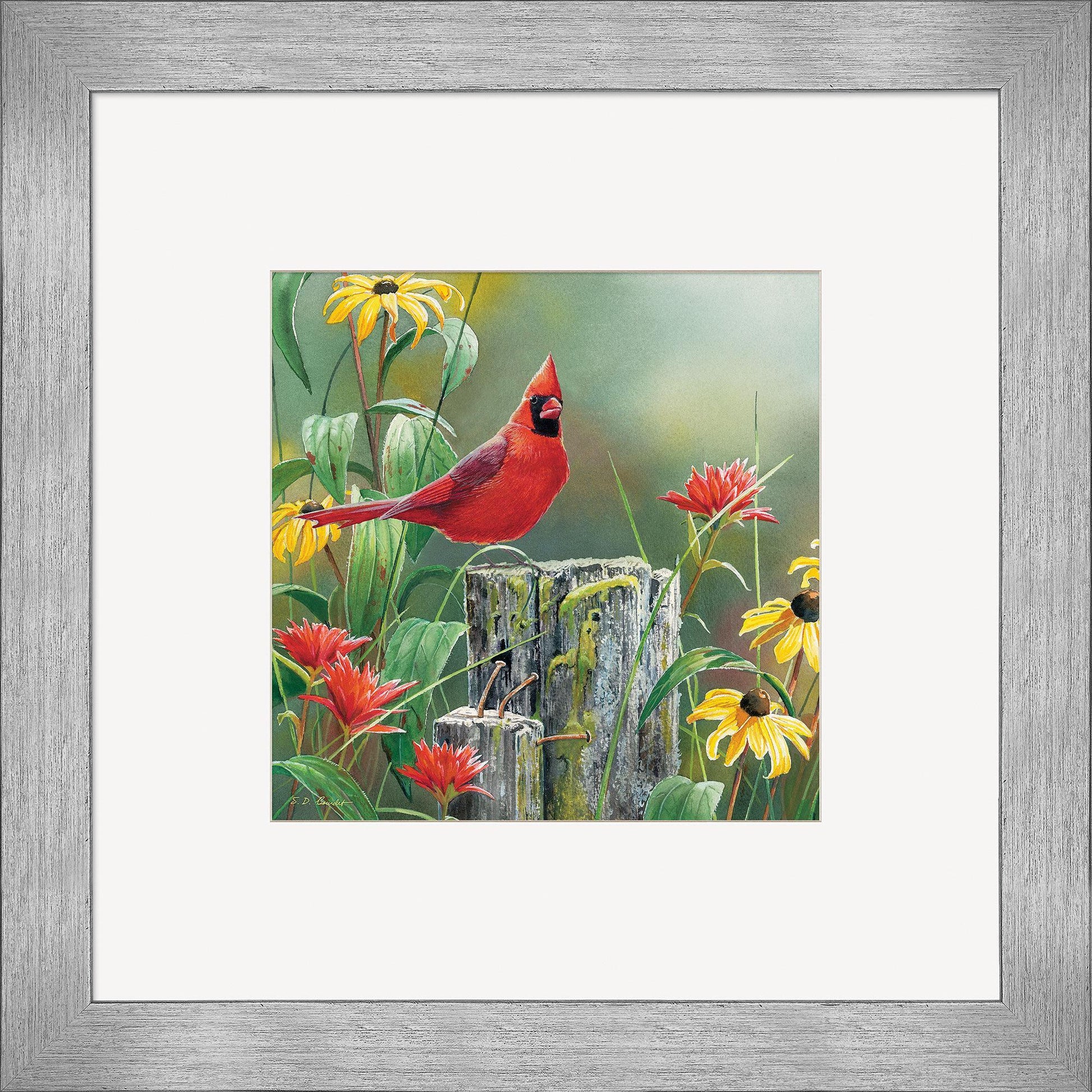 Greeting the New Day—Cardinal Contempo Square - Wild Wings