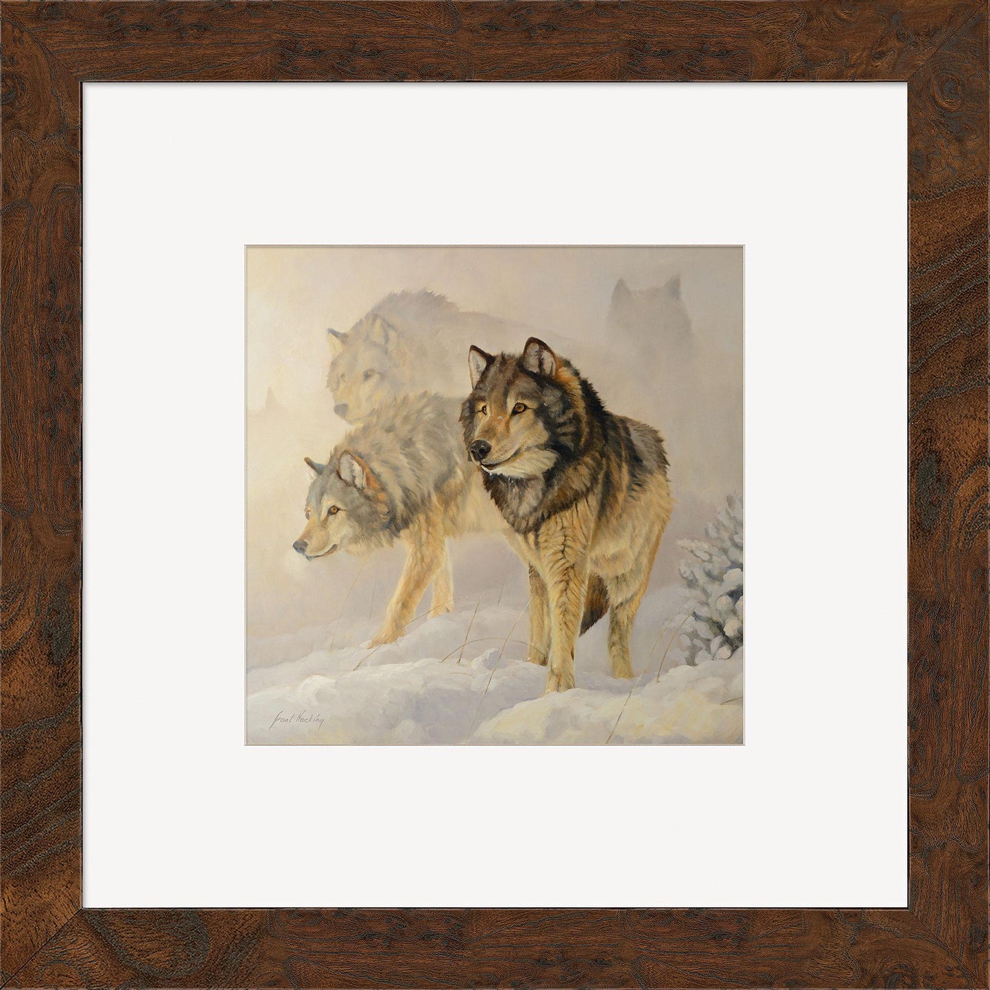 Like Shadows—Wolves Contempo Square - Wild Wings