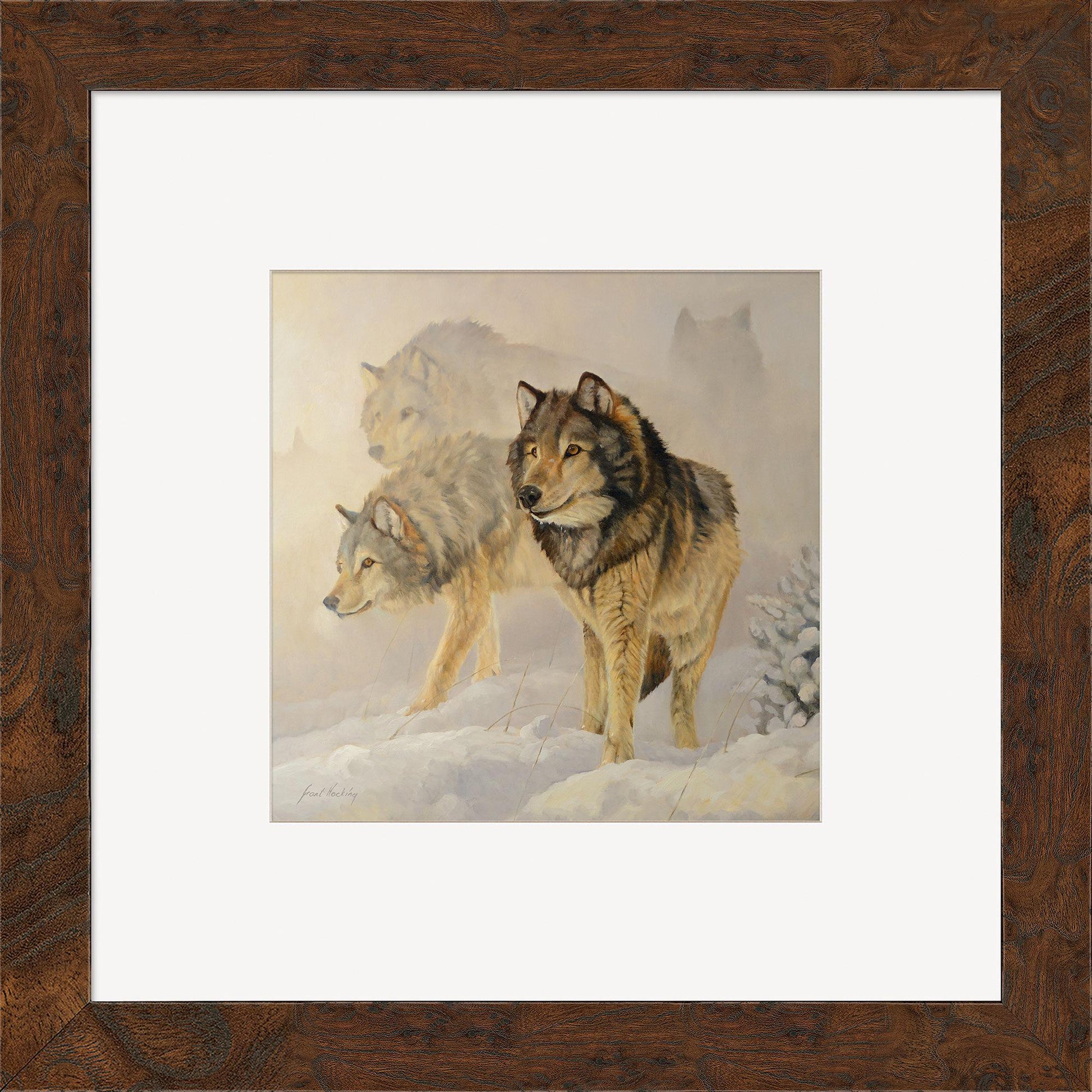 Like Shadows—Wolves Contempo Square - Wild Wings