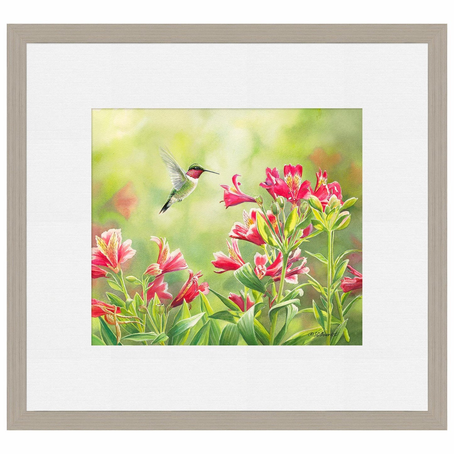 Ruby Throat & Freesias Paper Print - Wild Wings